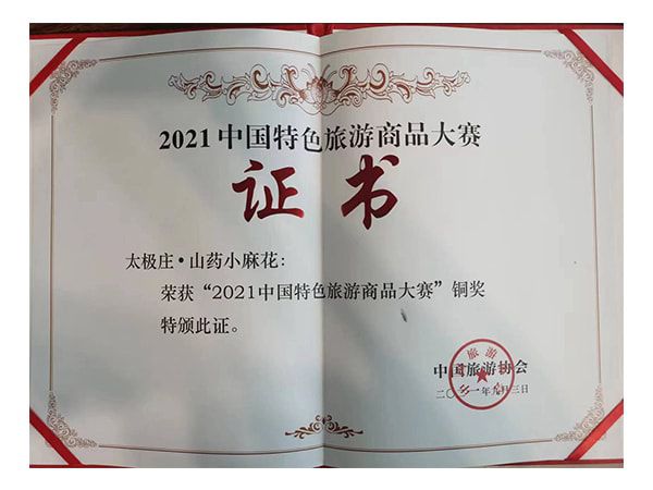 2021中国特色旅游商品大赛铜奖