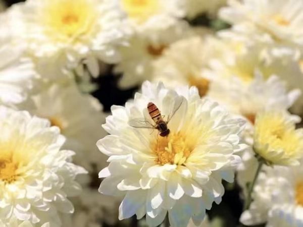 国庆、中秋假期怎么玩才值？这份【不挤人＋高性价比】攻略请查收！